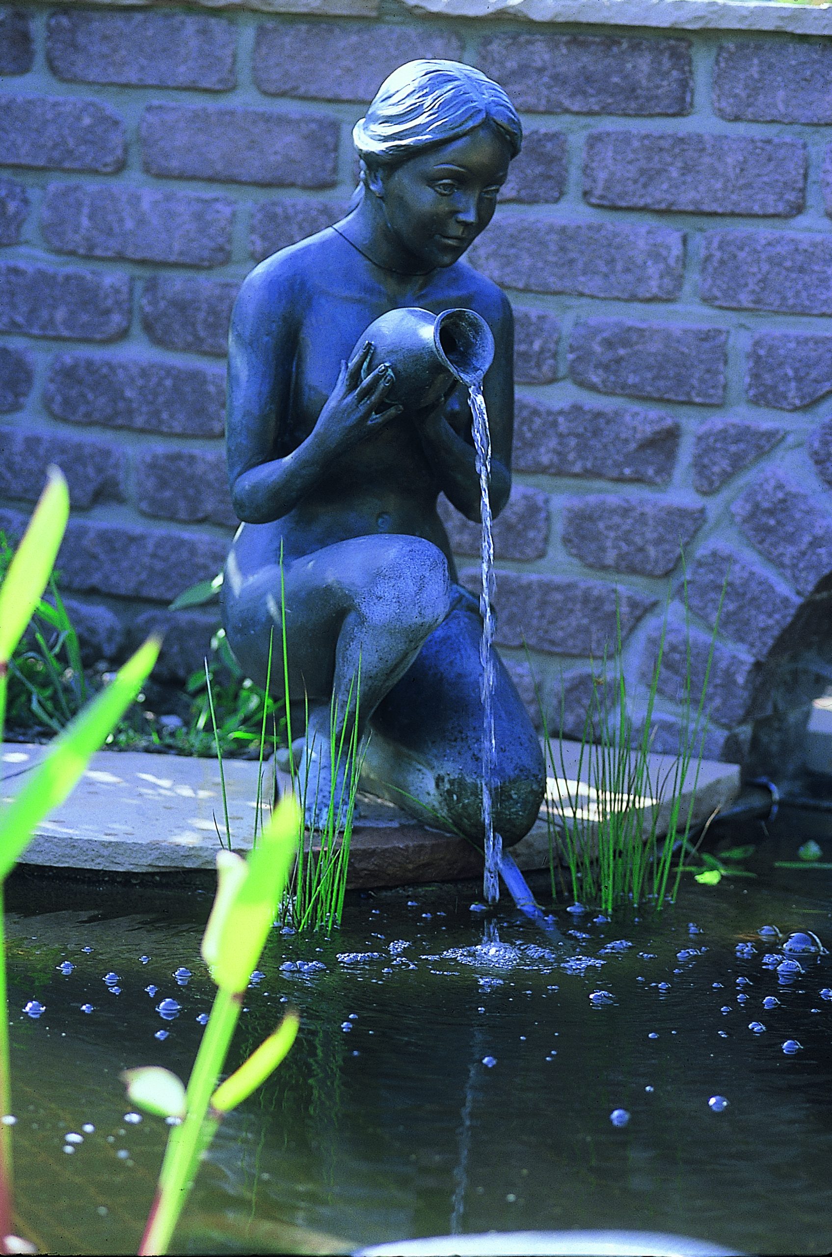 aquarius universal 1000 aquarius universal 1000