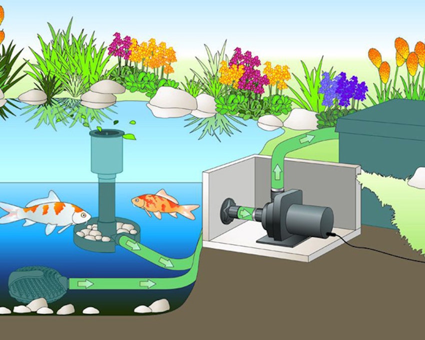 aquamax dry 6000 aquamax dry 6000
